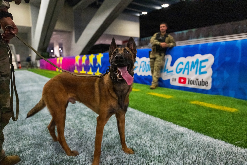 U.S. Coast Guard Maritime Safety and Security Team conduct K-9 sweeps in preparation for the Super Bowl.