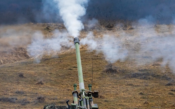 Dynamic Front 26: French CAESAR Howitzer Live Fire