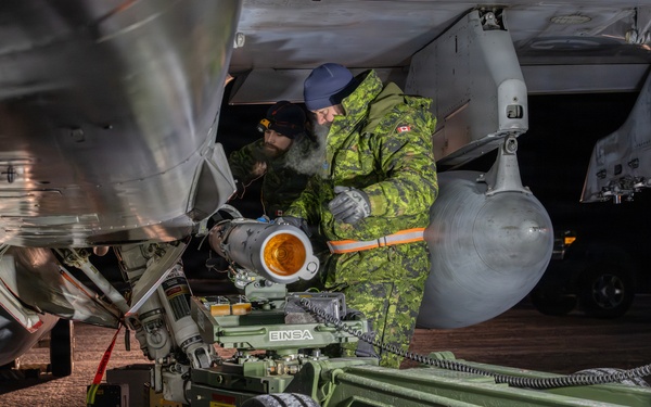 Member of the Air Task Force