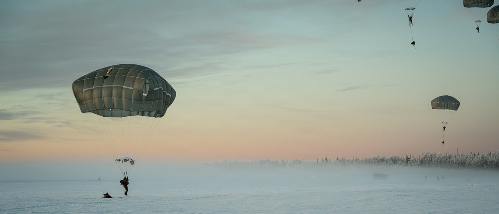 Palmetto Reach: Charleston Airmen Perform Joint Airdrop Training
