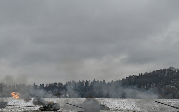 Dynamic Front 26, Italian artillery