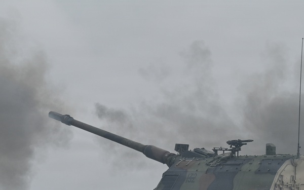 Dynamic Front 26, Italian artillery