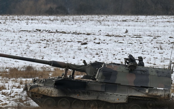 Dynamic Front 26, Italian artillery