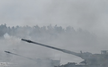 Dynamic Front 26, Italian artillery