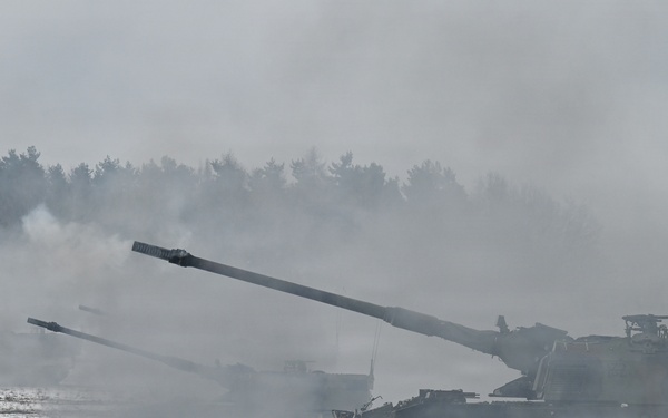 Dynamic Front 26, Italian artillery