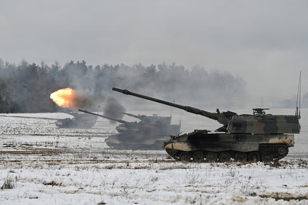 Dynamic Front 26, Italian artillery