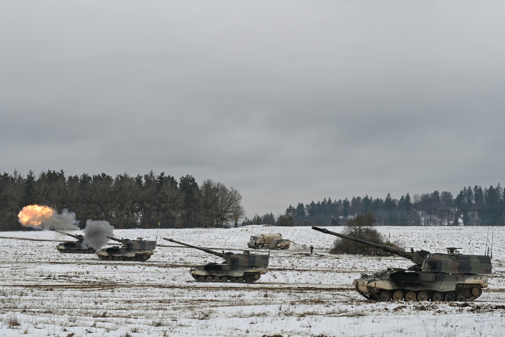 Dynamic Front 26, Italian artillery