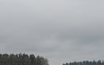 Dynamic Front 26, Italian artillery