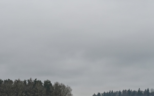 Dynamic Front 26, Italian artillery