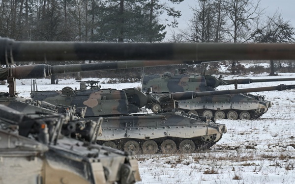 Dynamic Front 26, Italian artillery