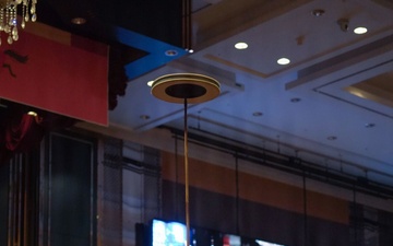 Performer balances spinning plate during celebration