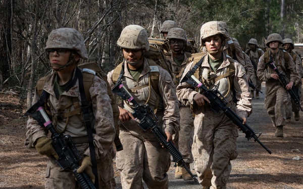 Alpha Company Crucible