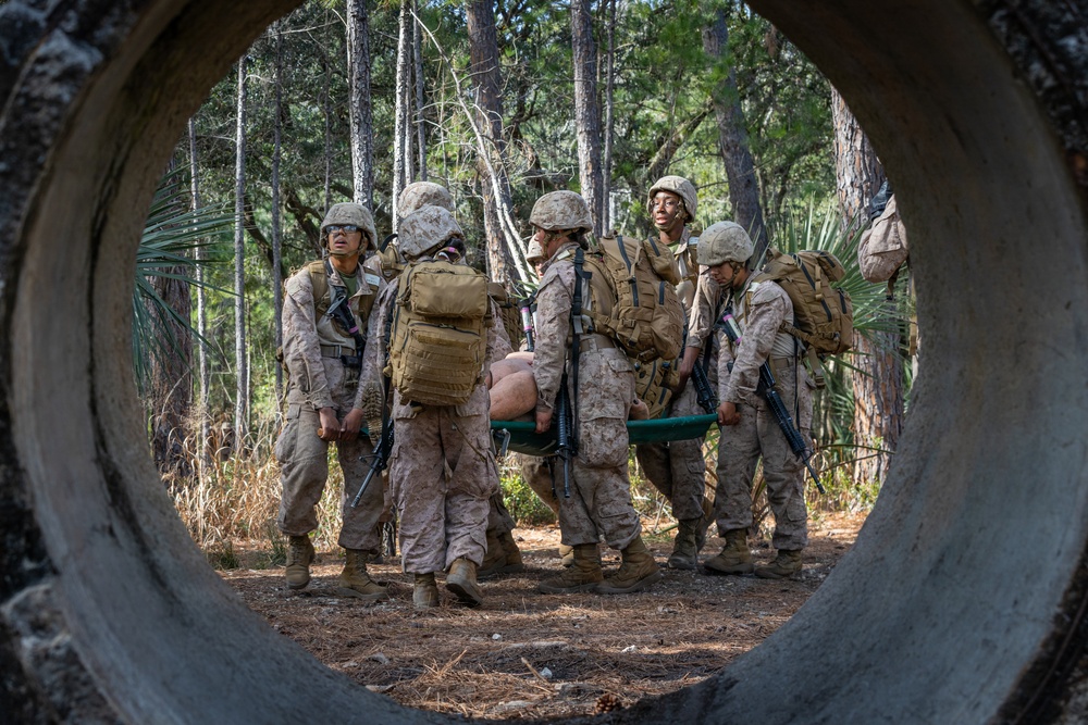 Alpha Company Crucible