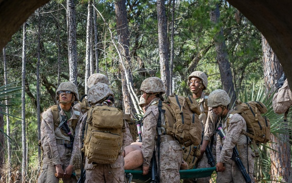 Alpha Company Crucible