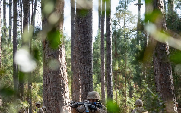 Alpha Company Crucible