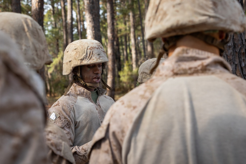 Alpha Company Crucible