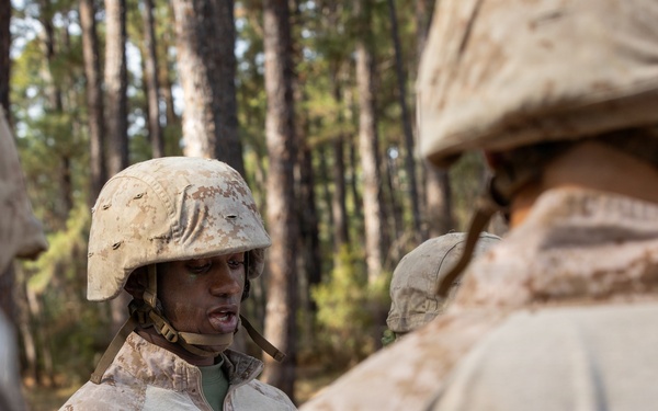 Alpha Company Crucible