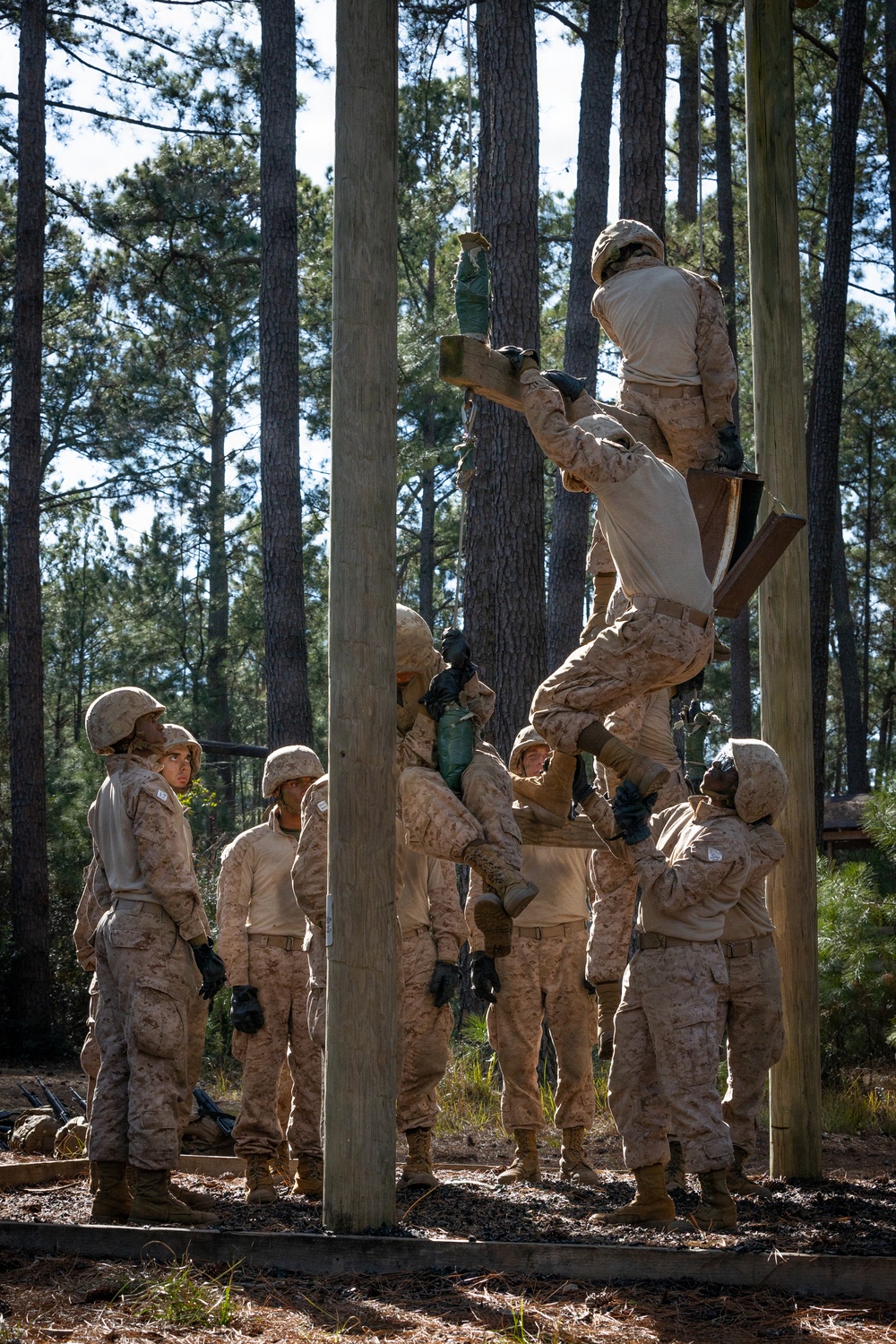 Alpha Company Crucible