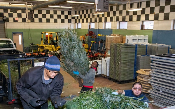 NSA-Portsmouth Recycles 50 Christmas Trees for the Dune Stabilization Program