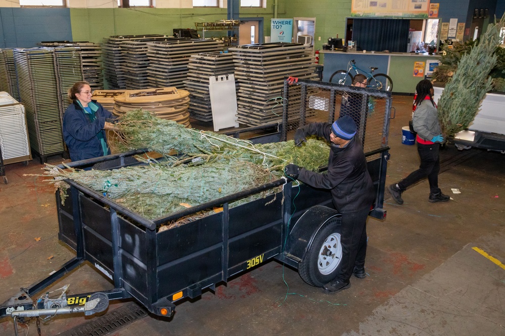 NSA-Portsmouth Recycles 50 Christmas Trees for the Dune Stabilization Program