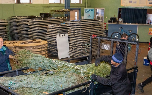 NSA-Portsmouth Recycles 50 Christmas Trees for the Dune Stabilization Program