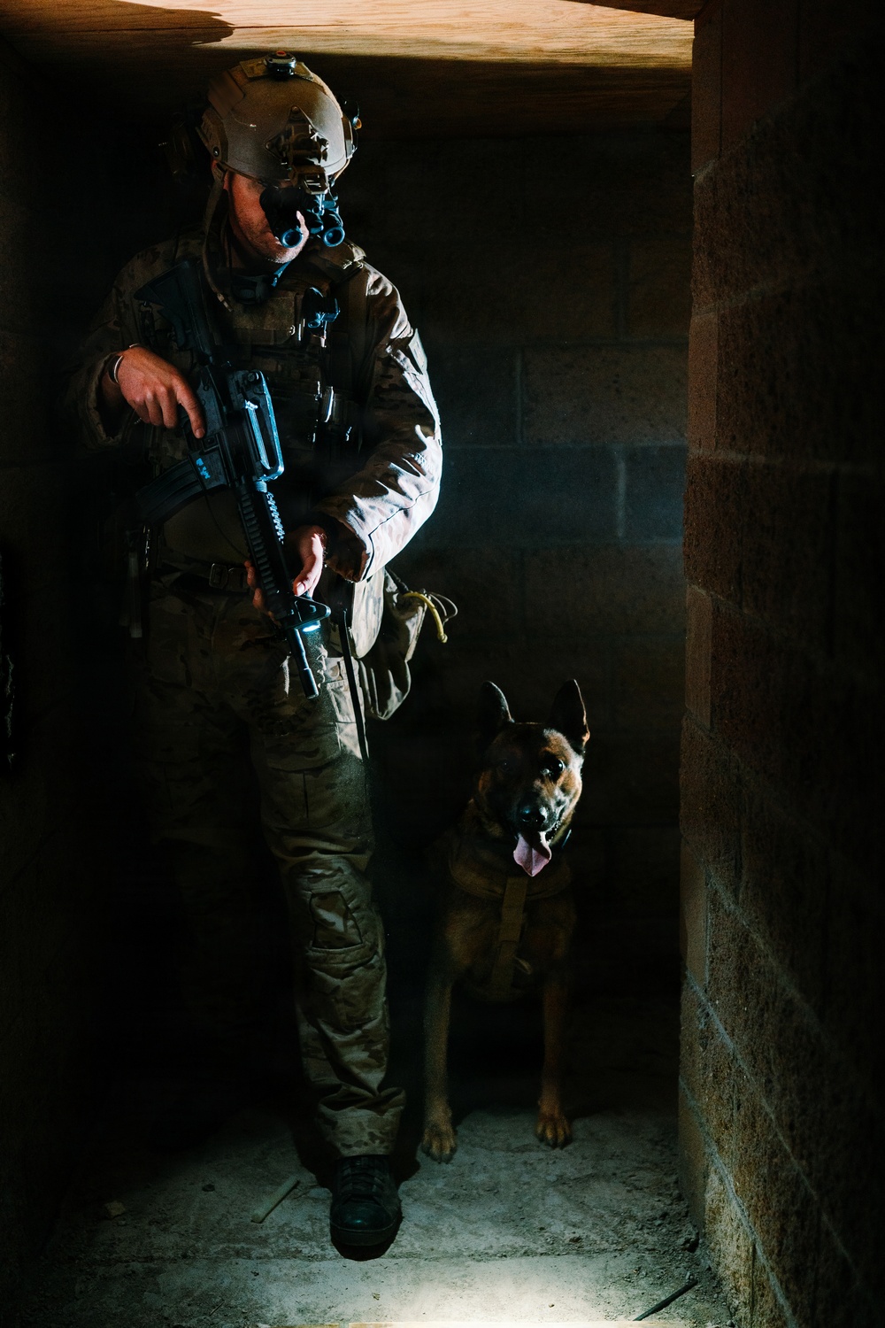 1SFG(A) military working dogs sharpen detection skills