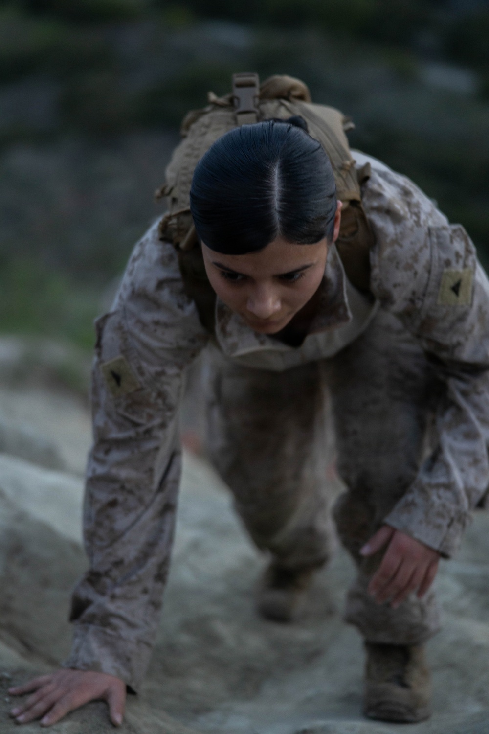 2nd Bn., 5th Marines hosts Two-Five Day
