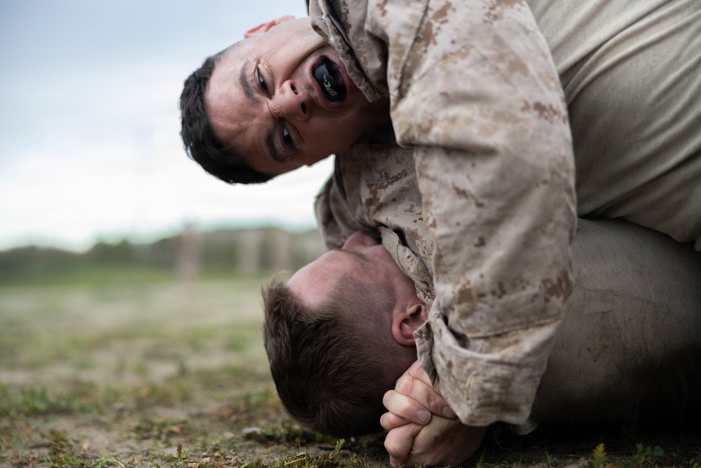 2nd Bn., 5th Marines hosts Two-Five Day