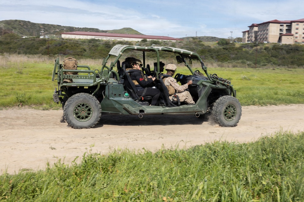 2nd Bn., 5th Marines hosts Two-Five Day