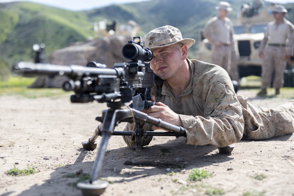 2nd Bn., 5th Marines hosts Two-Five Day