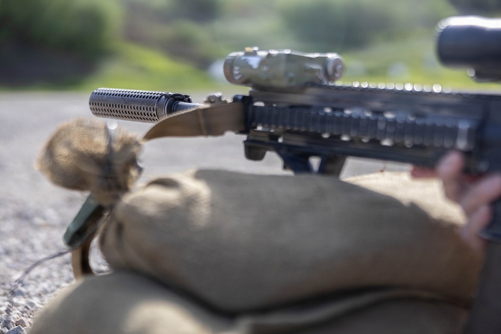 2nd Bn., 5th Marines hosts Two-Five Day