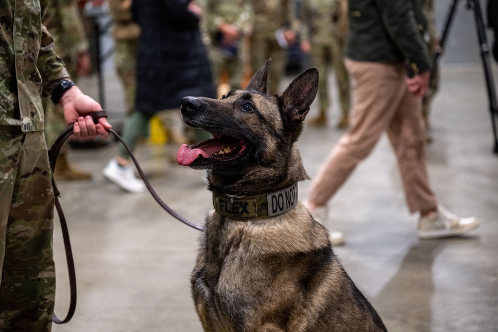 Military Working Dog "Flex" Retirement