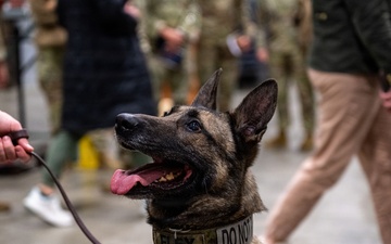 Military Working Dog "Flex" Retirement