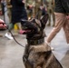 Military Working Dog "Flex" Retirement