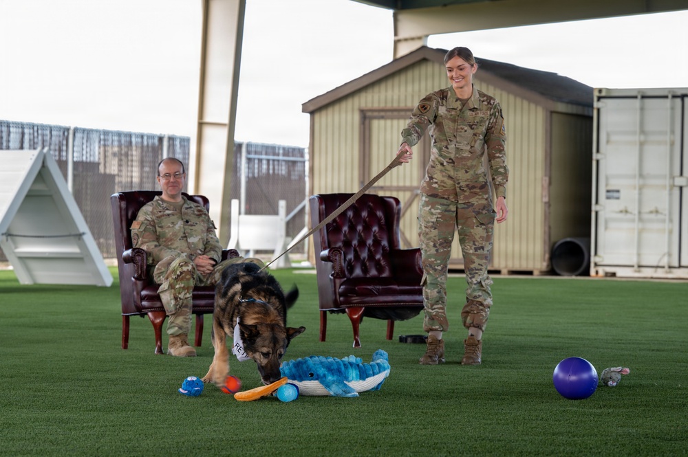 Vandenberg Military Working Dog Kiru Retires
