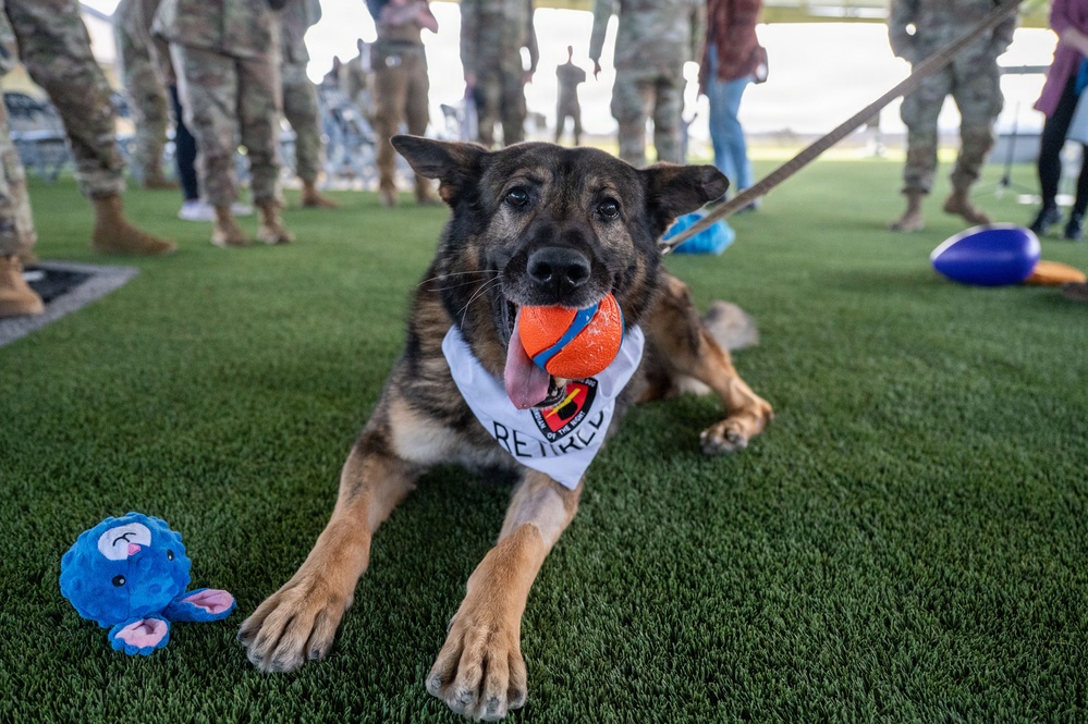 Vandenberg Military Working Dog Kiru Retires
