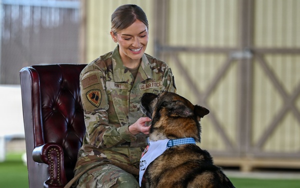 Vandenberg Military Working Dog Kiru Retires