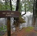 Ward Lake Flooding