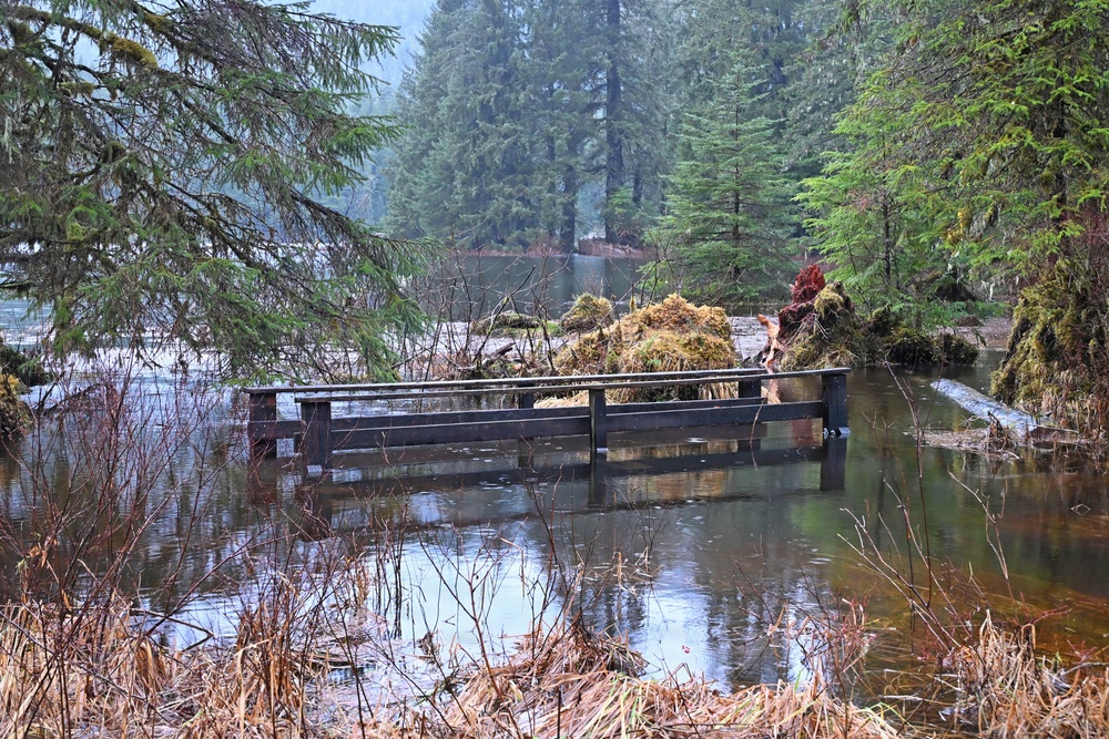 Ward Lake Flooding