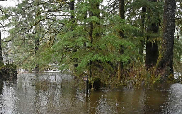 Ward Lake Flooding