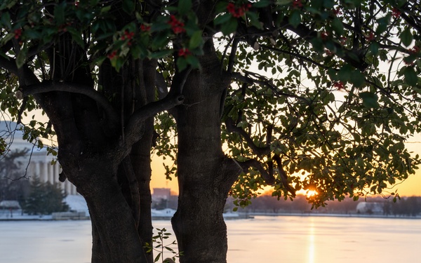 National Guard Presence Patrols Support Public Safety in Washington