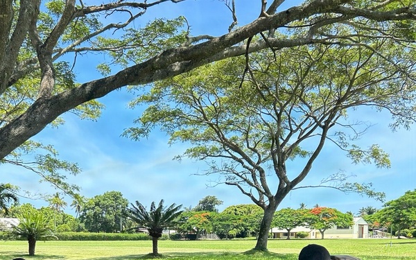 Nevada National Guard conducts Best Warrior familiarization exchange with Pacific partners