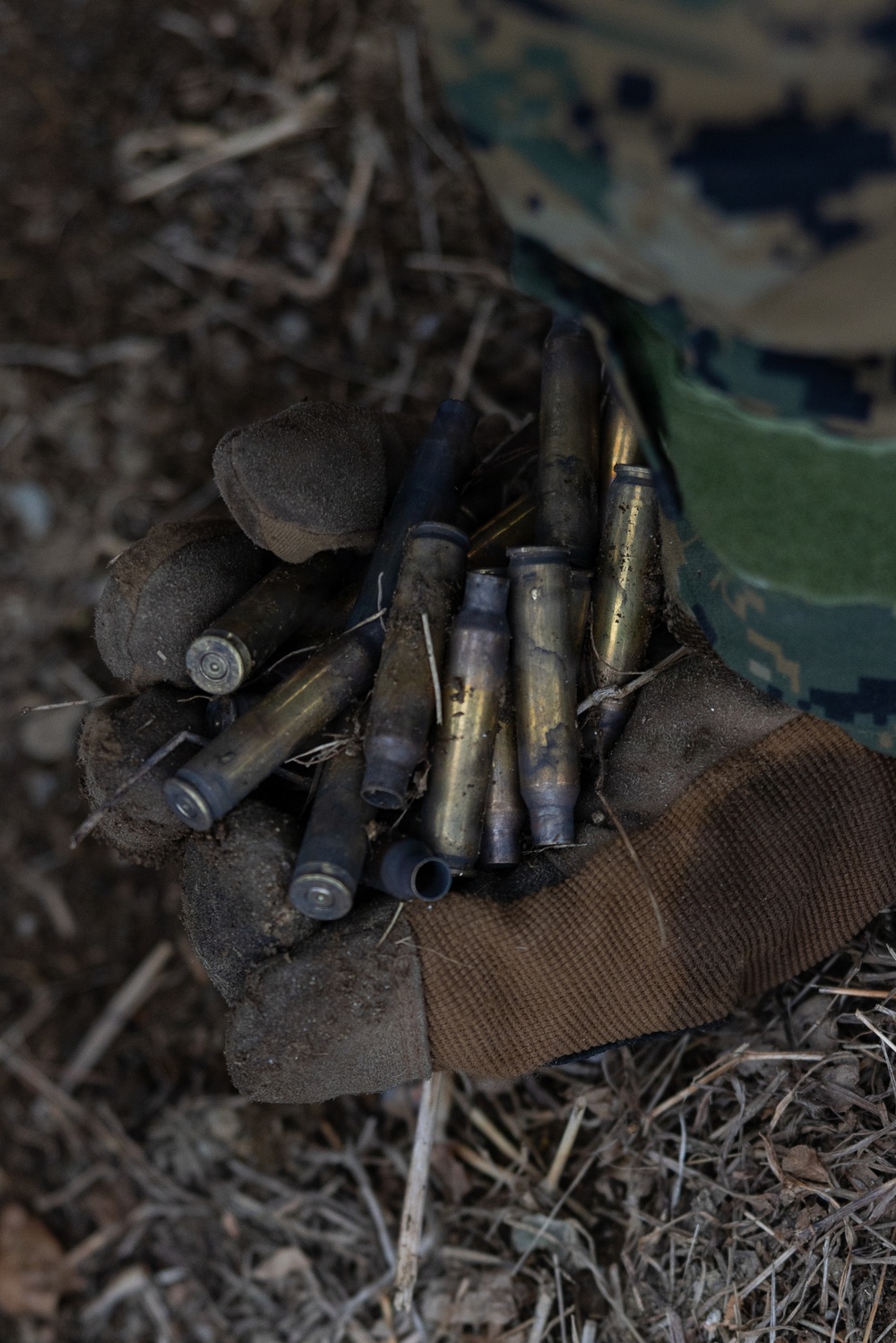 Marines Conduct a Shooting Competition during Korea Viper 26.2