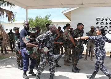 Cutlass Express 2026