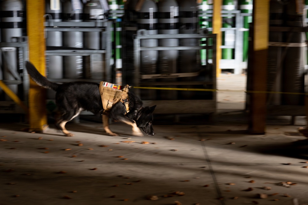 86 SFS, 100 MP conquer substance detection training at Ramstein AB
