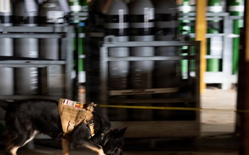 86 SFS, 100 MP conquer substance detection training at Ramstein AB