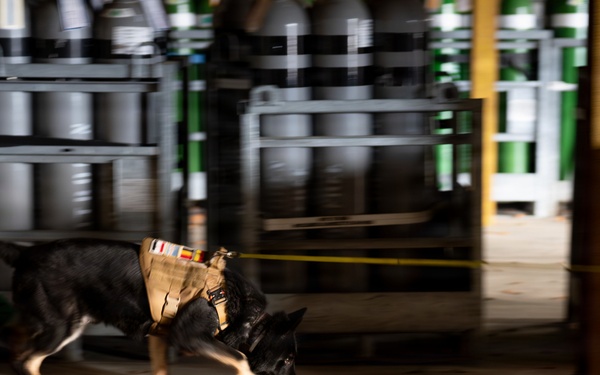 86 SFS, 100 MP conquer substance detection training at Ramstein AB