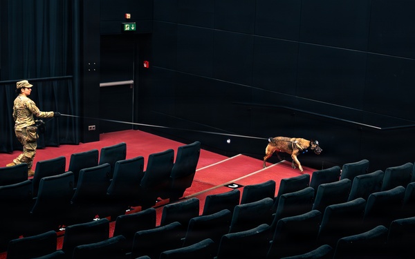 86 SFS, 100 MP conquer substance detection training at Ramstein AB