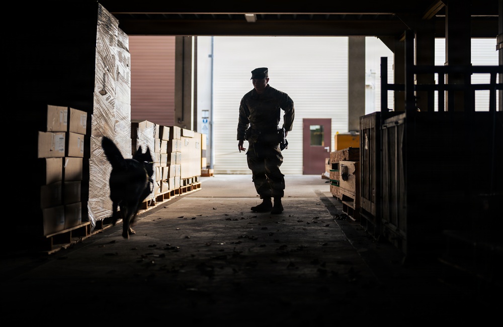 86 SFS, 100 MP conquer substance detection training at Ramstein AB