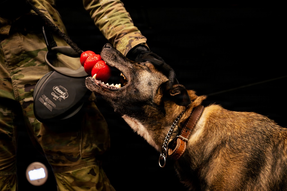 86 SFS, 100 MP conquer substance detection training at Ramstein AB
